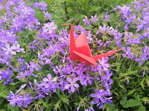 #������_���'��